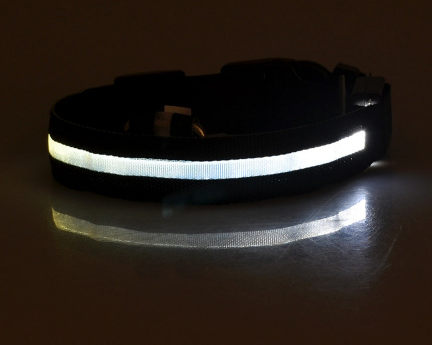 LED Glow Pet Collar for Safe, Bright Night Walks