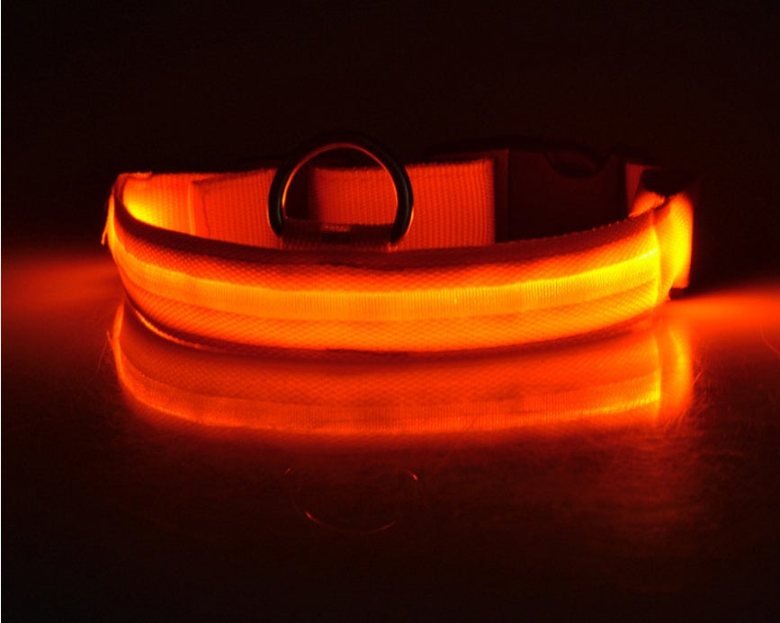 LED Glow Pet Collar for Safe, Bright Night Walks