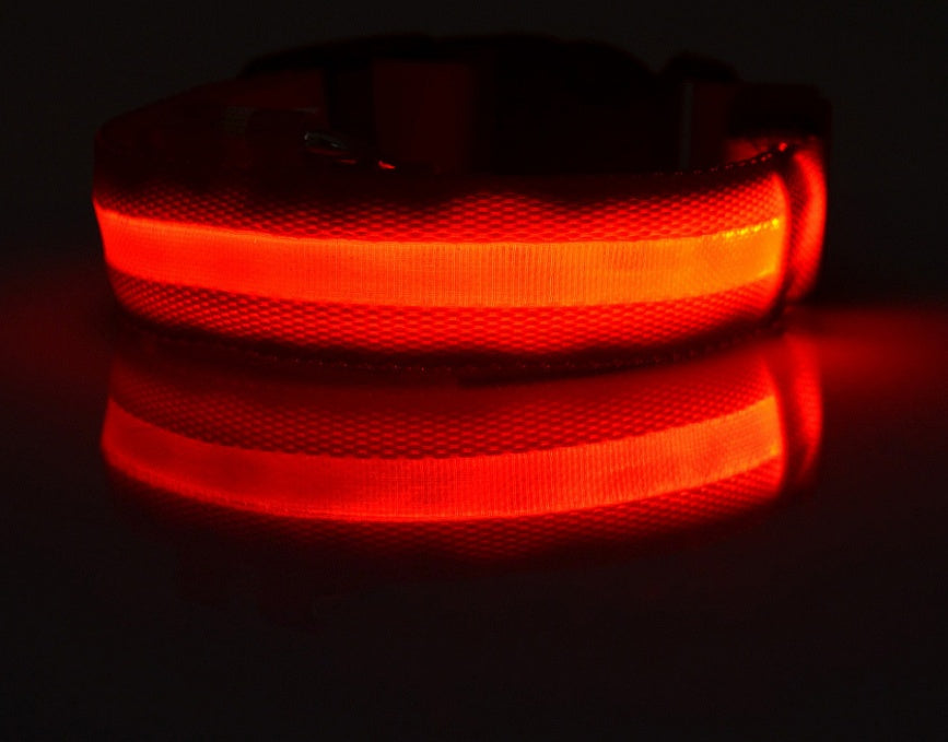 LED Glow Pet Collar for Safe, Bright Night Walks