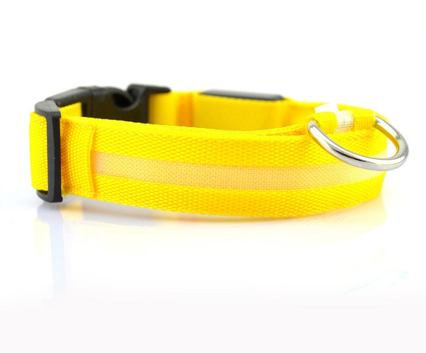 LED Glow Pet Collar for Safe, Bright Night Walks