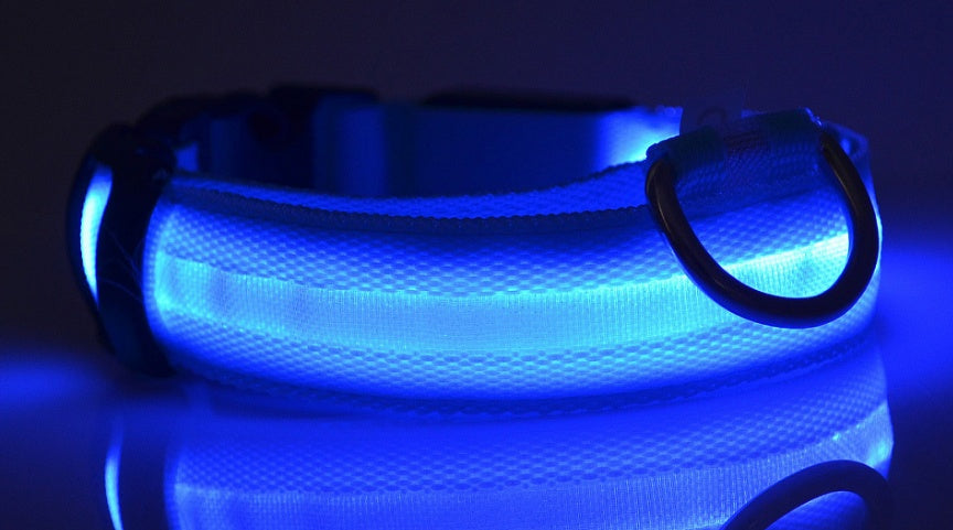 LED Glow Pet Collar for Safe, Bright Night Walks