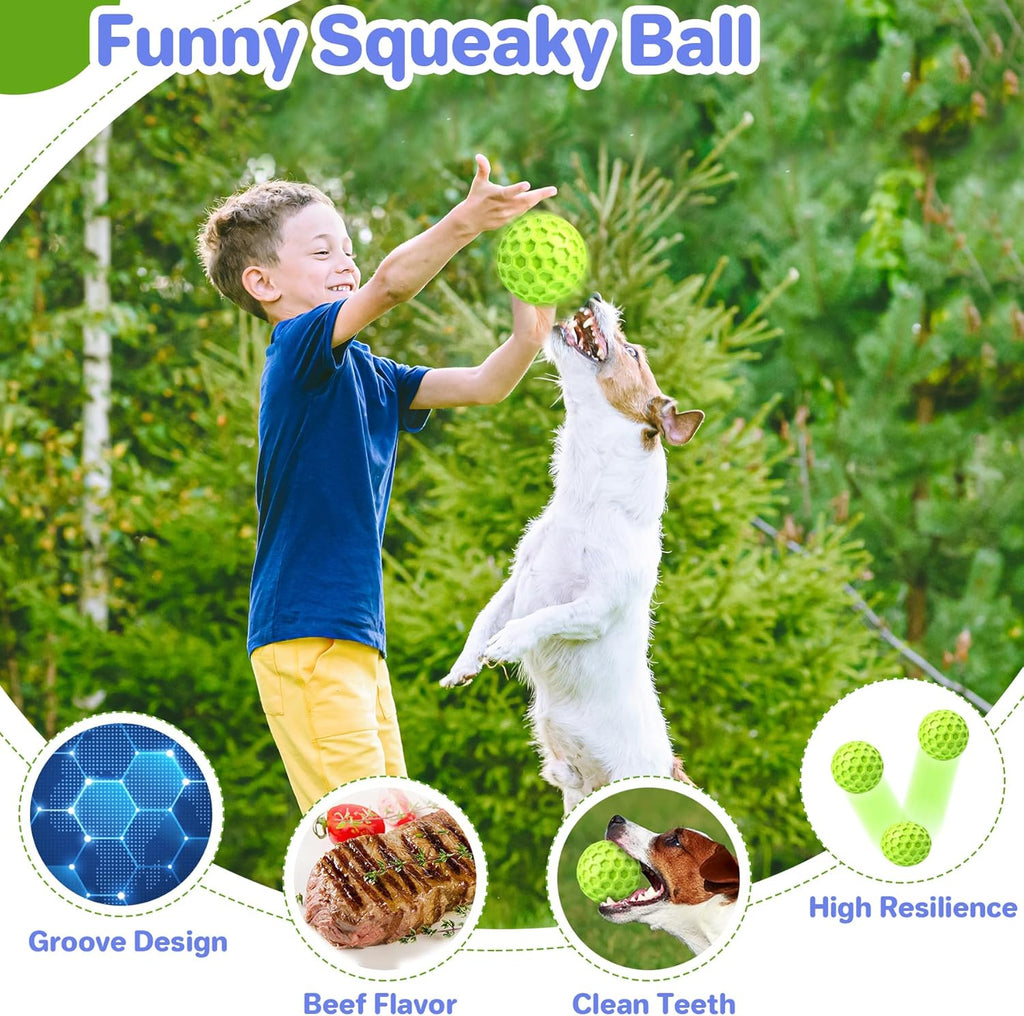 Durable Squeaky Dog Ball for Anxiety Relief and Outdoor Fun