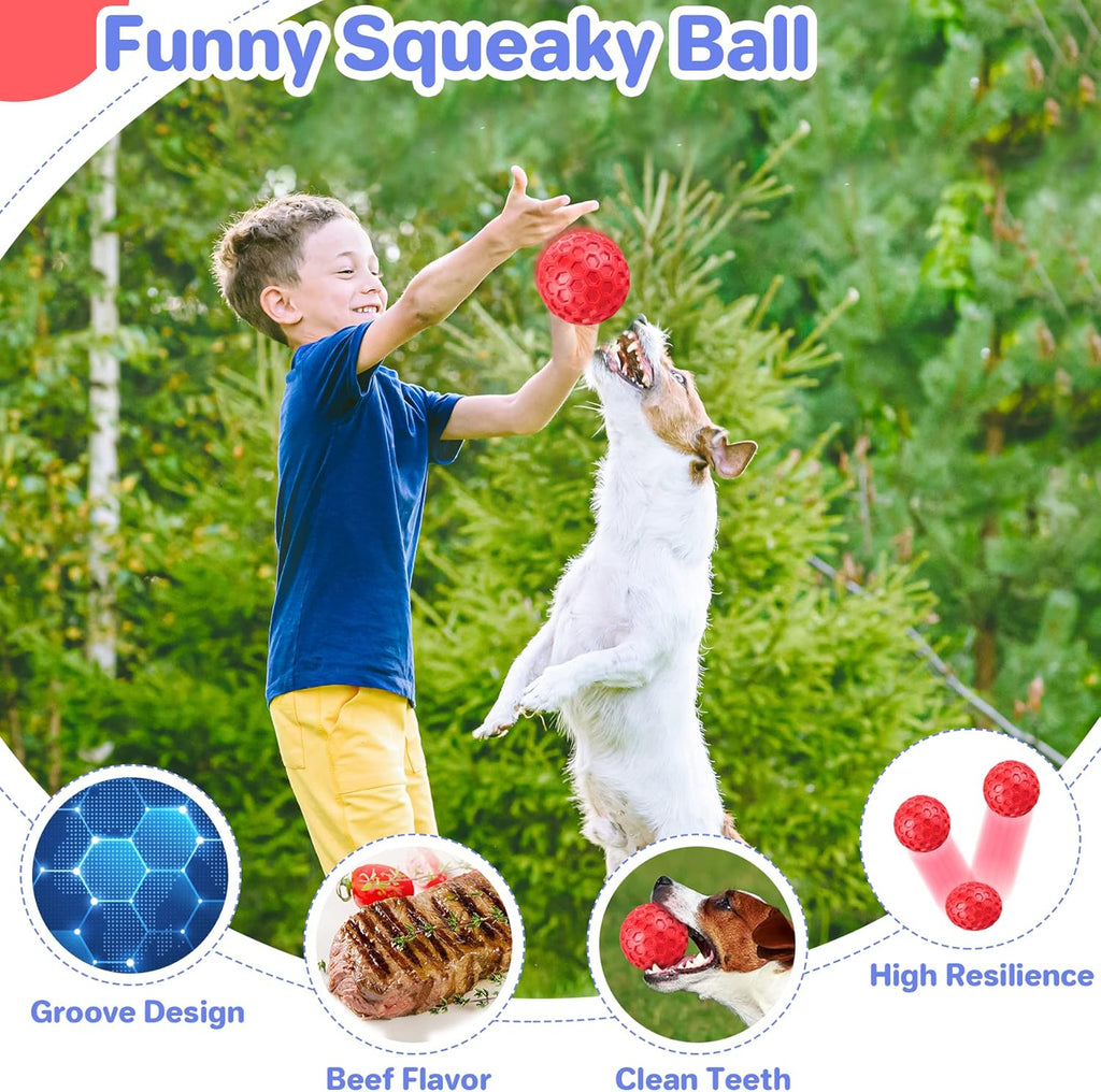 Durable Squeaky Dog Ball for Anxiety Relief and Outdoor Fun