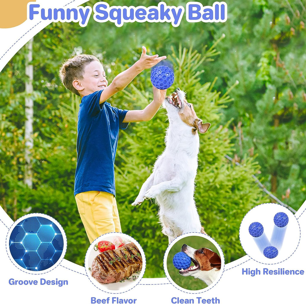 Durable Squeaky Dog Ball for Anxiety Relief and Outdoor Fun